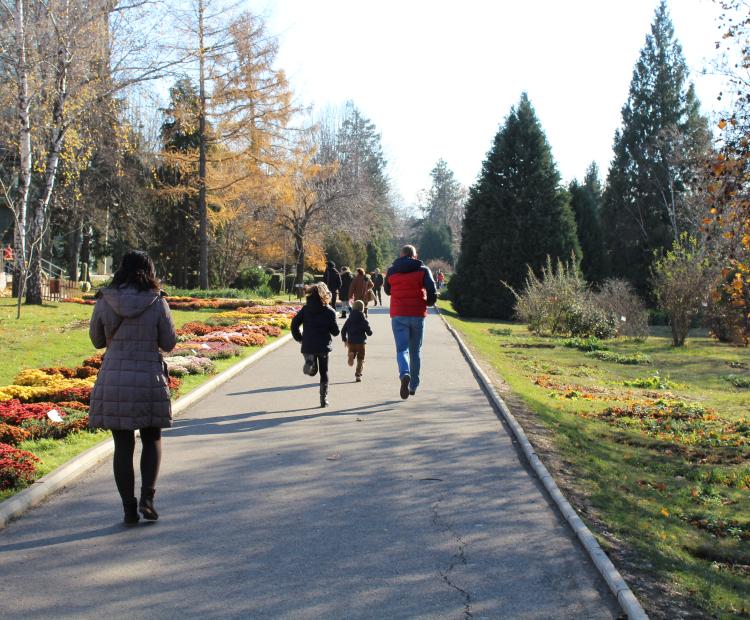 Photo représentant une famille se promenant dans un parc, les enfants courent