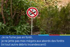 Photo représentant un panneau d'interdiction de fumer, placé dans un sous-bois, accompagnée du conseil "Je ne fume pas en forêt, je ne jette pas mes mégots aux abords des forêts (ni tout autre débris incandescent)"