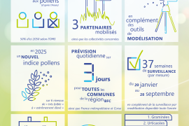 Visuel de l'infographie bilan