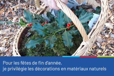 Photo d'un panier en osier posé sur un sol forestier et rempli de mousse et d'une branche de houx avec ses baies rouges. Sous la photo figure le conseil "Pour les fêtes de fin d'année, je privilégie les décorations en matériaux naturels".