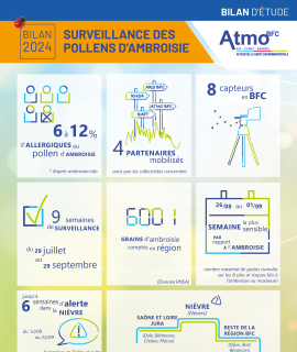 Infographie bilan de la campagne 2024 de surveillance des pollens d'ambroisie.