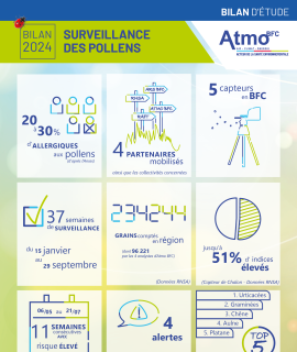 Infographie bilan de la campagne 2024 de surveillance des pollens.