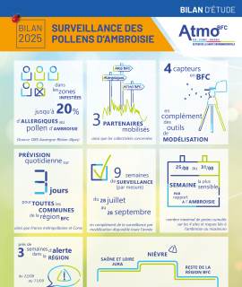 Visuel de l'infographie bilan